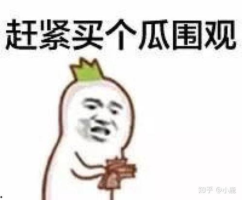 大瓜爆料搞笑段子视频,搞笑段子视频笑翻众人,笑料百出! 第3张 大瓜爆料搞笑段子视频,搞笑段子视频笑翻众人,笑料百出! 第3张