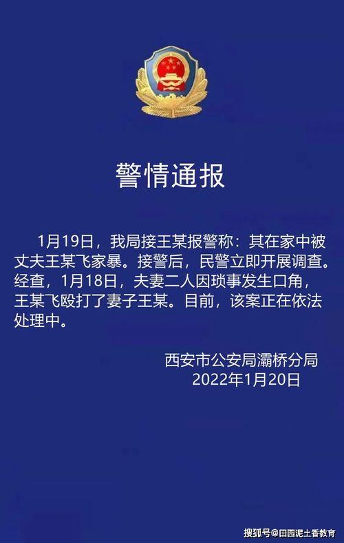 家暴妻子王鹏飞爆料视频